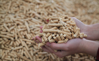 生物质颗粒机破解山东潍坊姜秸秆处理难题，增加农民收入